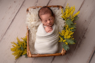 nouveau-né_mimosa